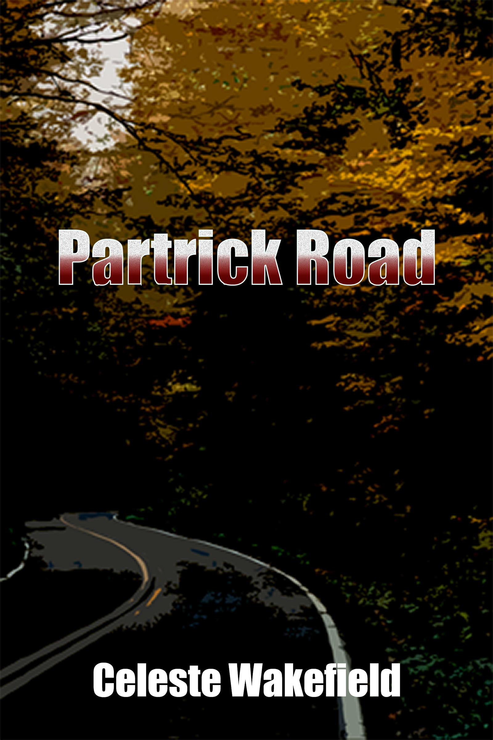 Partrick Road-Smash Cover design